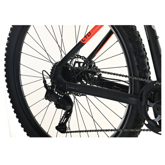 Carver Strict E.400 LTD - 400 Wh - 29 Zoll - Diamant – Image 3