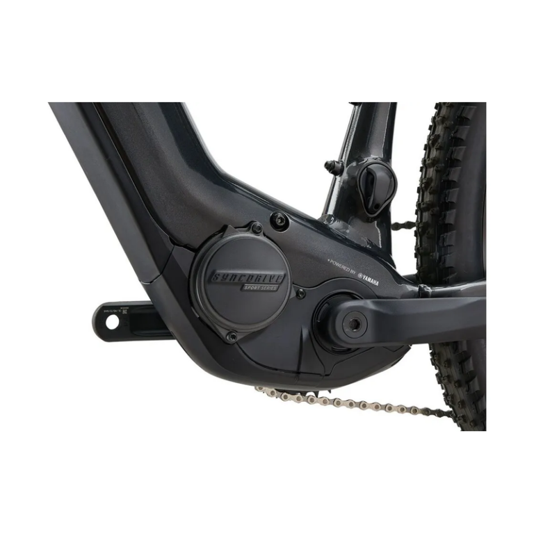 Giant Fathom E+ 2 - 625 Wh - 29 Zoll - Diamant