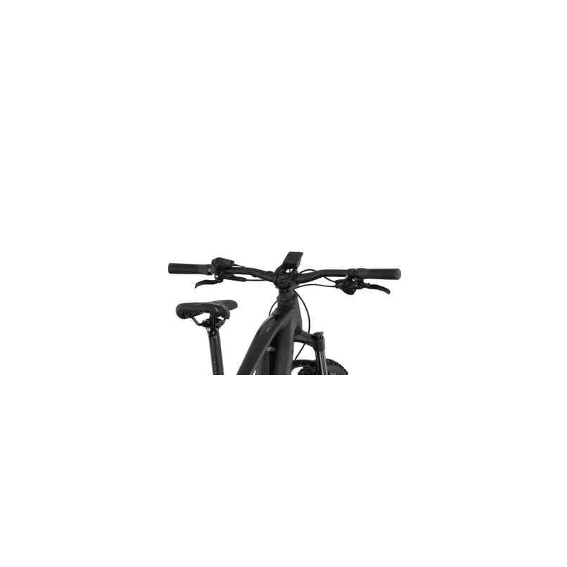 Carver Strict E.560 - 750 Wh - 29 Zoll - Diamant – Image 7
