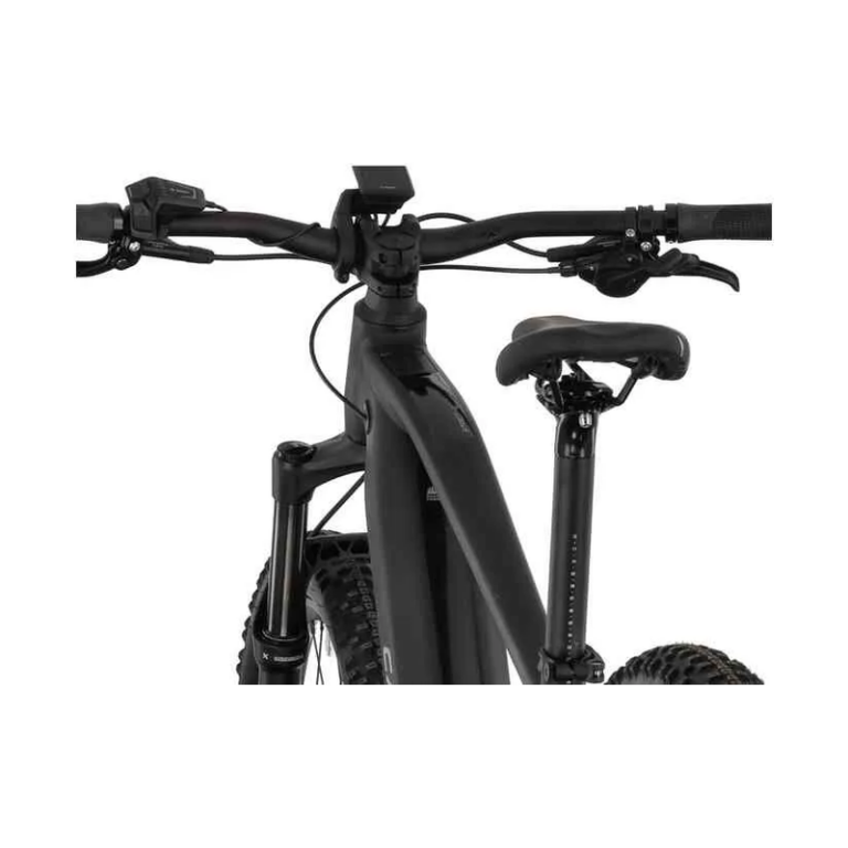 Carver Strict E.560 - 750 Wh - 29 Zoll - Diamant