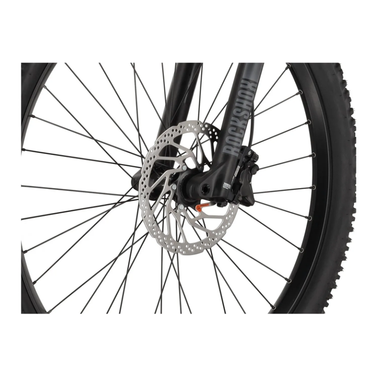 Carver Strict E.560 - 750 Wh - 29 Zoll - Diamant