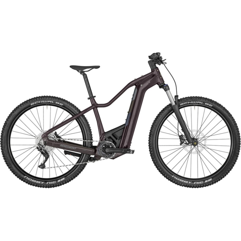 Bergamont E-Revox Sport FMN