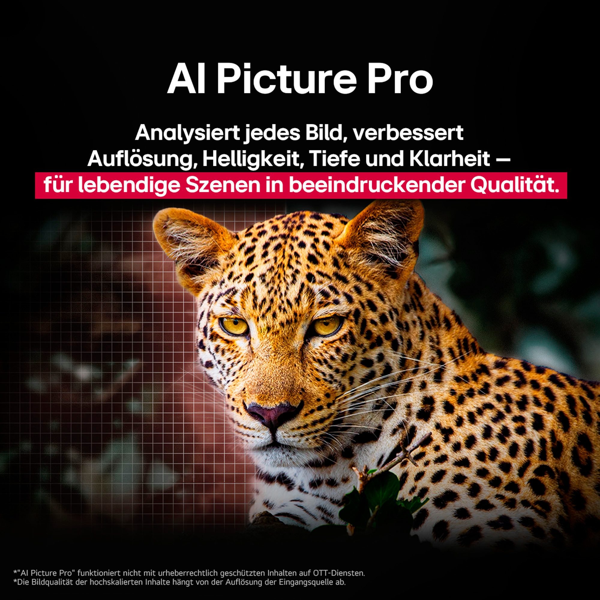 Fernseher LG OLED C5 – 77 Zoll OLED evo AI TV – Image 10