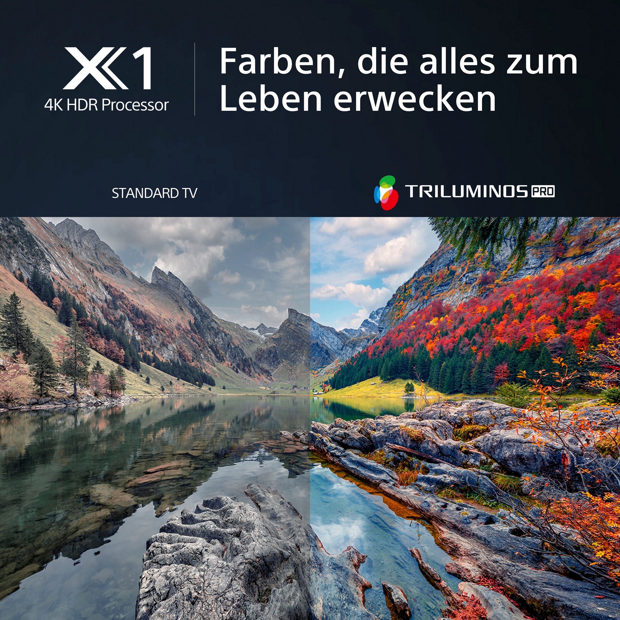 Sony KD-X85L 85 Zoll 4K Ultra HD Smart Google TV – mit Triluminos Pro, X1-Prozessor – Image 6