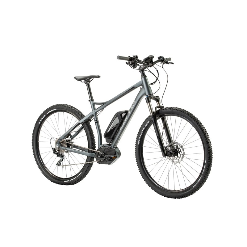 Carver Strict E02 - 500 Wh - 29 Zoll - Diamant – Image 2