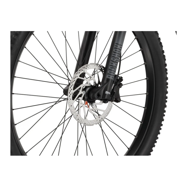 Carver Strict E.540 - 625 Wh - 27,5 Zoll - Diamant