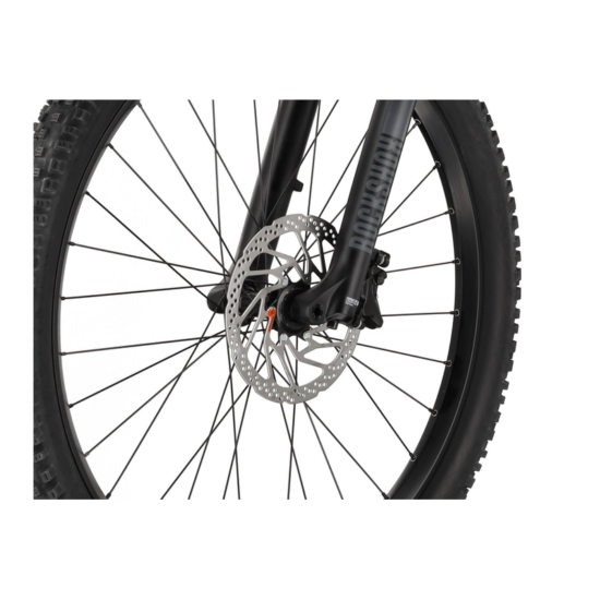 Carver Drift E.520 - 625 Wh - 29 Zoll - Fully – Image 14