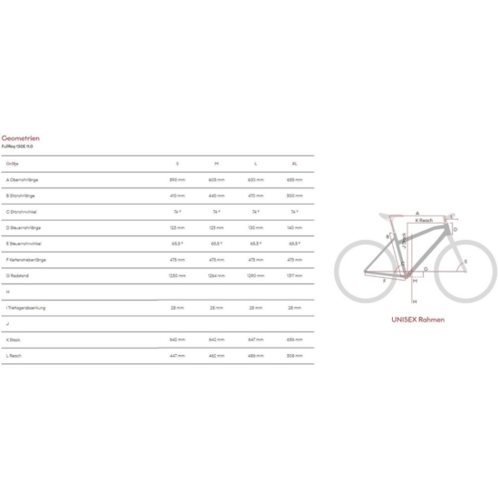 Raymon FullRay 150E 11.0 - 630 Wh - 29 Zoll - Fully – Image 2