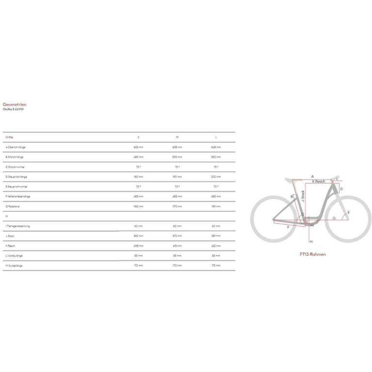 Raymon CityRay E 4.0 FW
