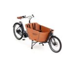 Grau