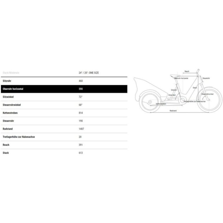 Cube Trike Hybrid Family 750 - 750 Wh - 20 Zoll - Dreirad