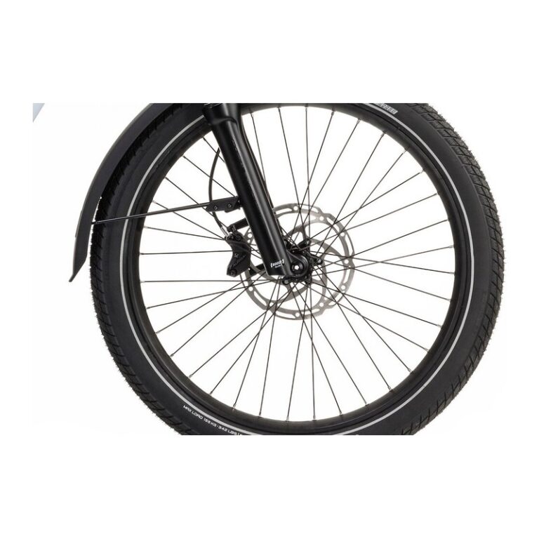 Cube Trike Hybrid Family 750 - 750 Wh - 20 Zoll - Dreirad