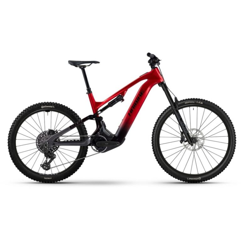 Haibike Allmtn CF 9