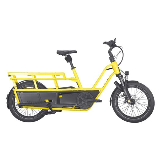 Kettler Flair L-N Belt + Passenger Kit - 545 Wh - 20 Zoll - Longtail - 2026 – Image 2