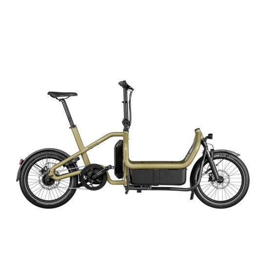 Riese und Müller Carrie city - 725 Wh - 20 Zoll - Long John – Image 2